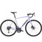 Trek Domane AL 2 Gen 4 Bike