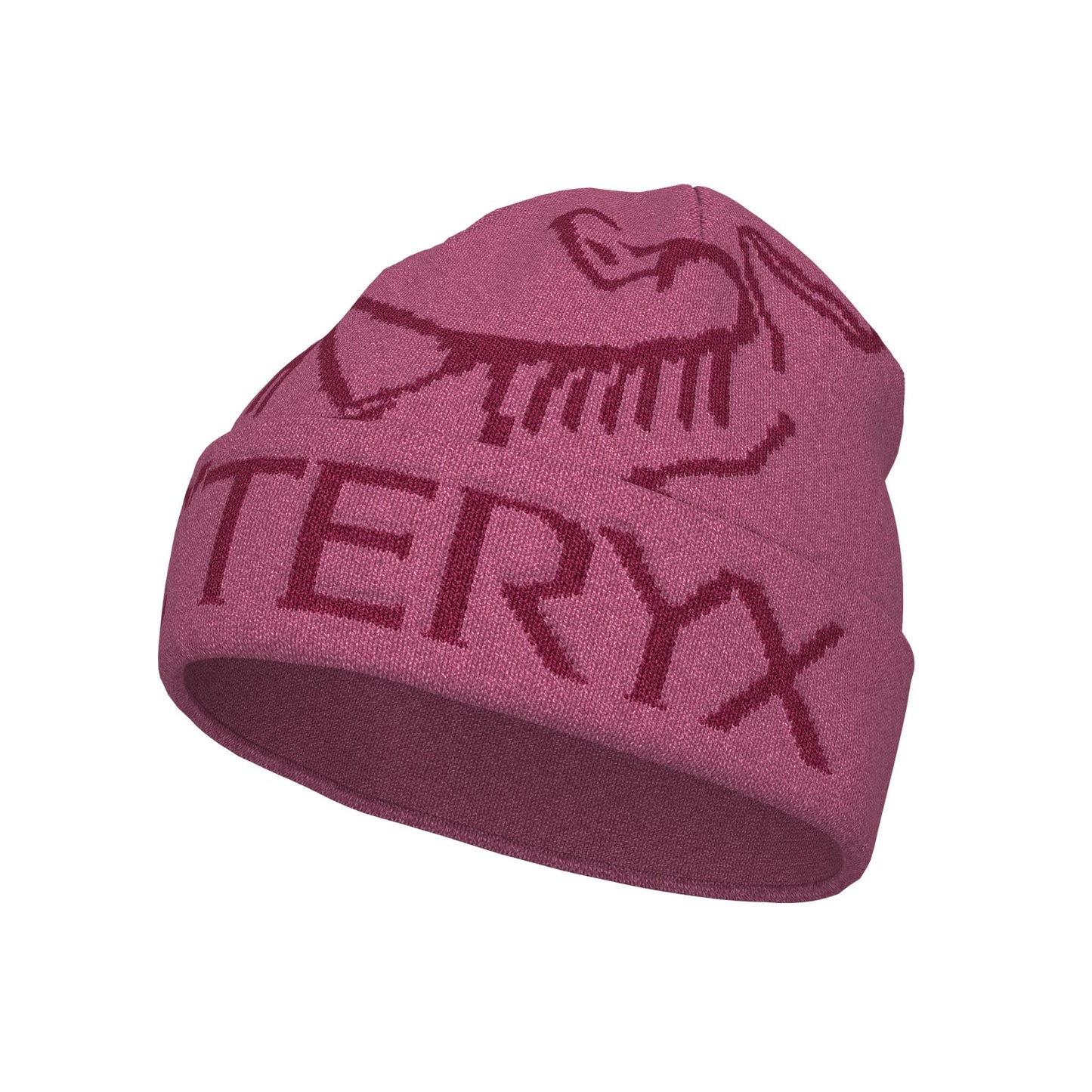 Arc'teryx Bird Word Adult Toque