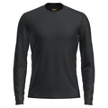 Icebreaker 200 Oasis Mens LS Crewe - Skiis & Biikes