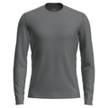 Icebreaker 200 Oasis Mens LS Crewe - Skiis & Biikes