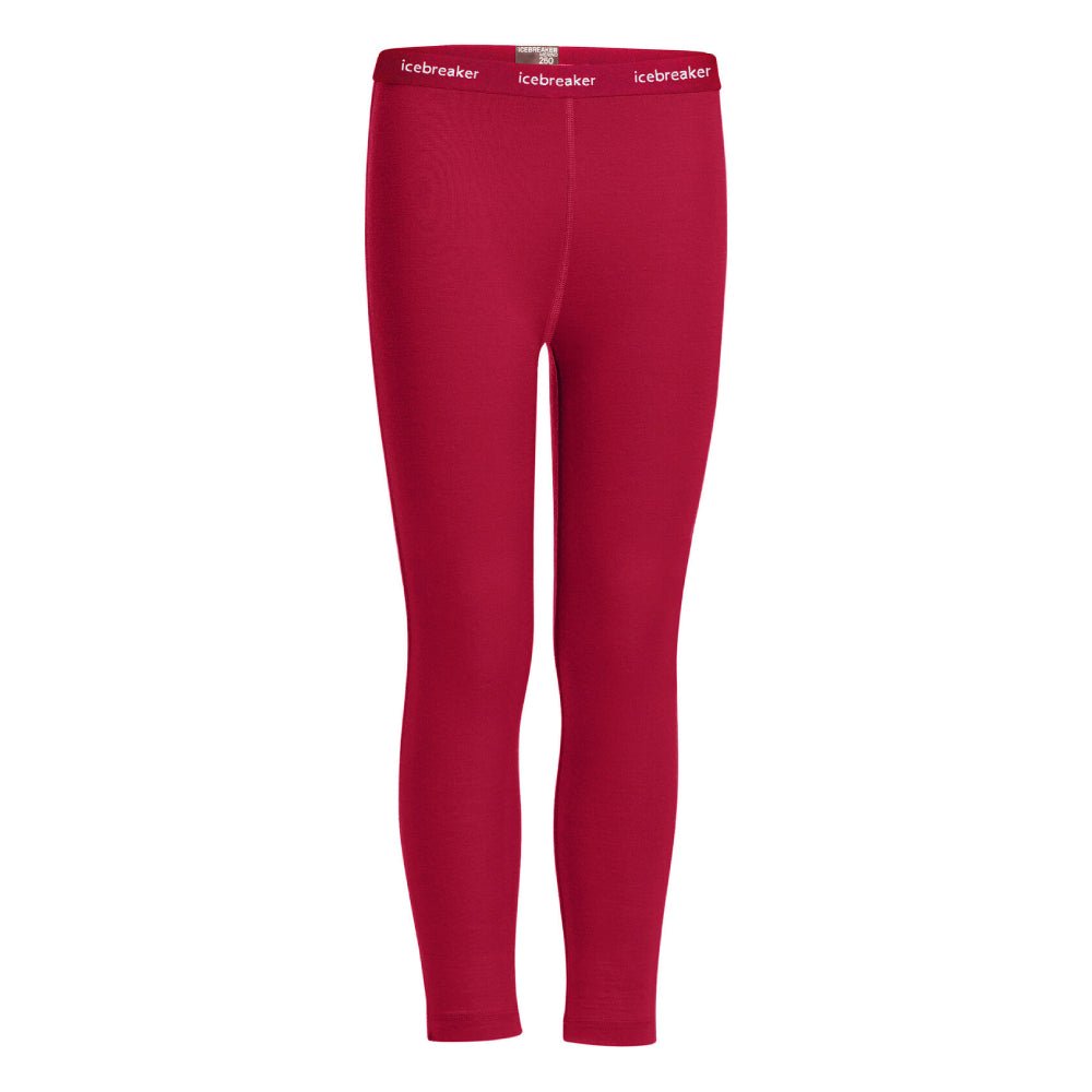 Icebreaker 260 Tech Kids Leggings - Skiis & Biikes
