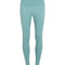 Icebreaker 260 Tech Womens High Rise Leggings - Skiis & Biikes