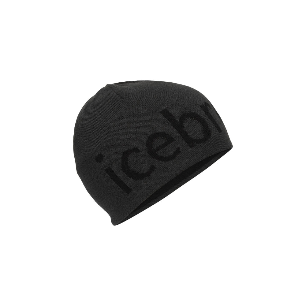 Icebreaker Adult Beanie - Skiis & Biikes