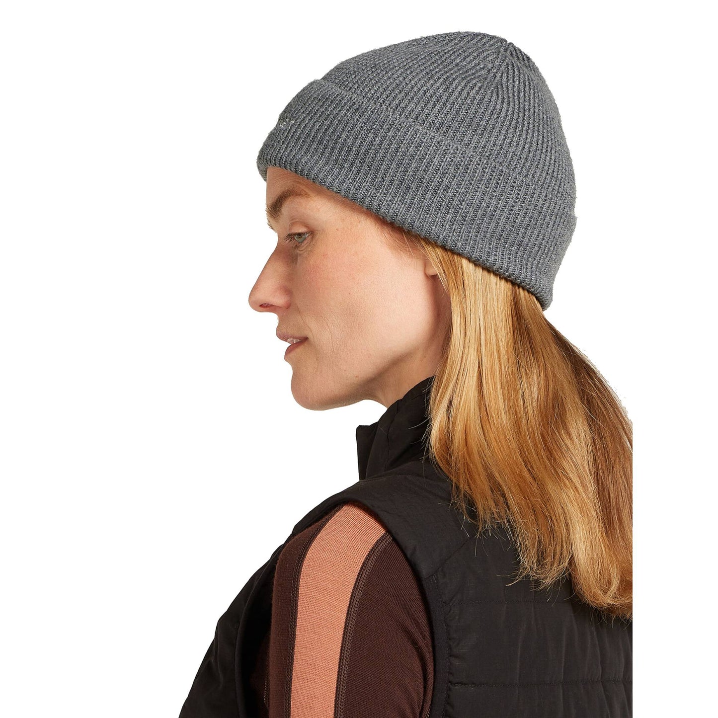 Icebreaker All Day Adult Beanie - Skiis & Biikes
