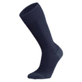 Icebreaker Ski+ Light OTC Mens Sock - Skiis & Biikes