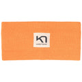 Kari Traa Rothe Womens Headband - Skiis & Biikes
