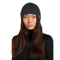 Icebreaker 260 Quantum Adult Beanie