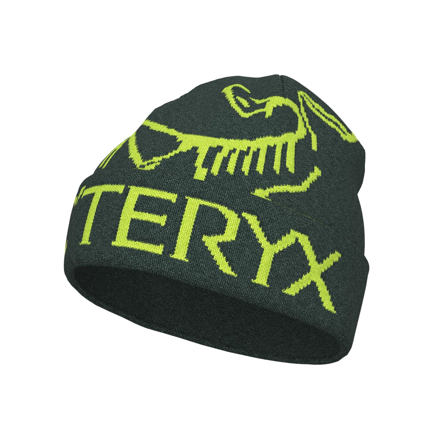 Arc'teryx Bird Word Adult Toque