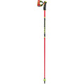 Leki Venom GS 3D Ski Poles 2026 - Skiis & Biikes