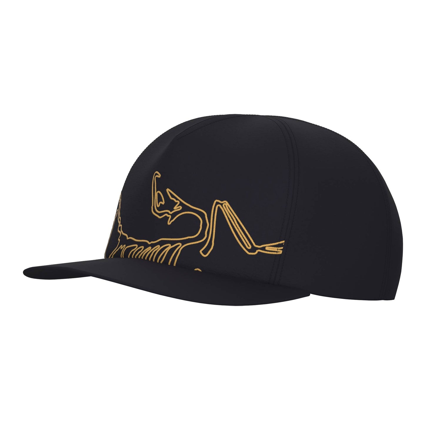 Arc'teryx Silex Adult Cap