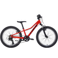 Trek Precaliber 20 7 Speed Bike