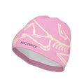 Arc'teryx Bird Head Adult Toque