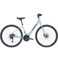 Trek Verve 1 Low Step Bike