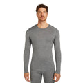 Icebreaker 200 Oasis Mens LS Crewe
