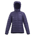 Arc'teryx Cerium Womens Hoody 2027