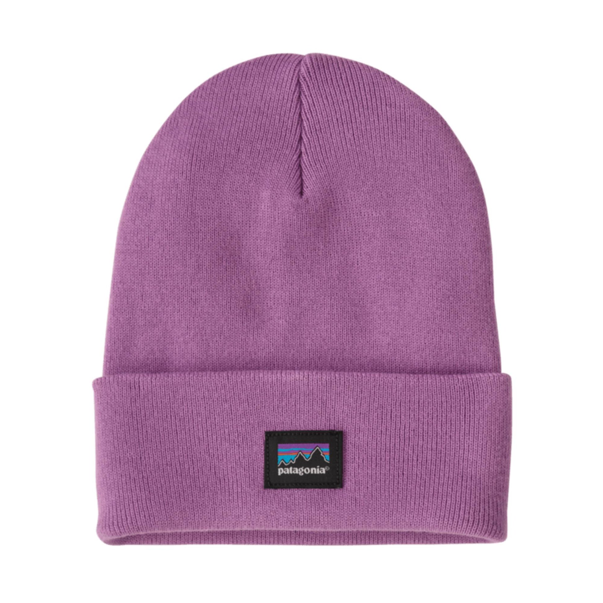 Patagonia Everyday Adult Beanie - Skiis & Biikes