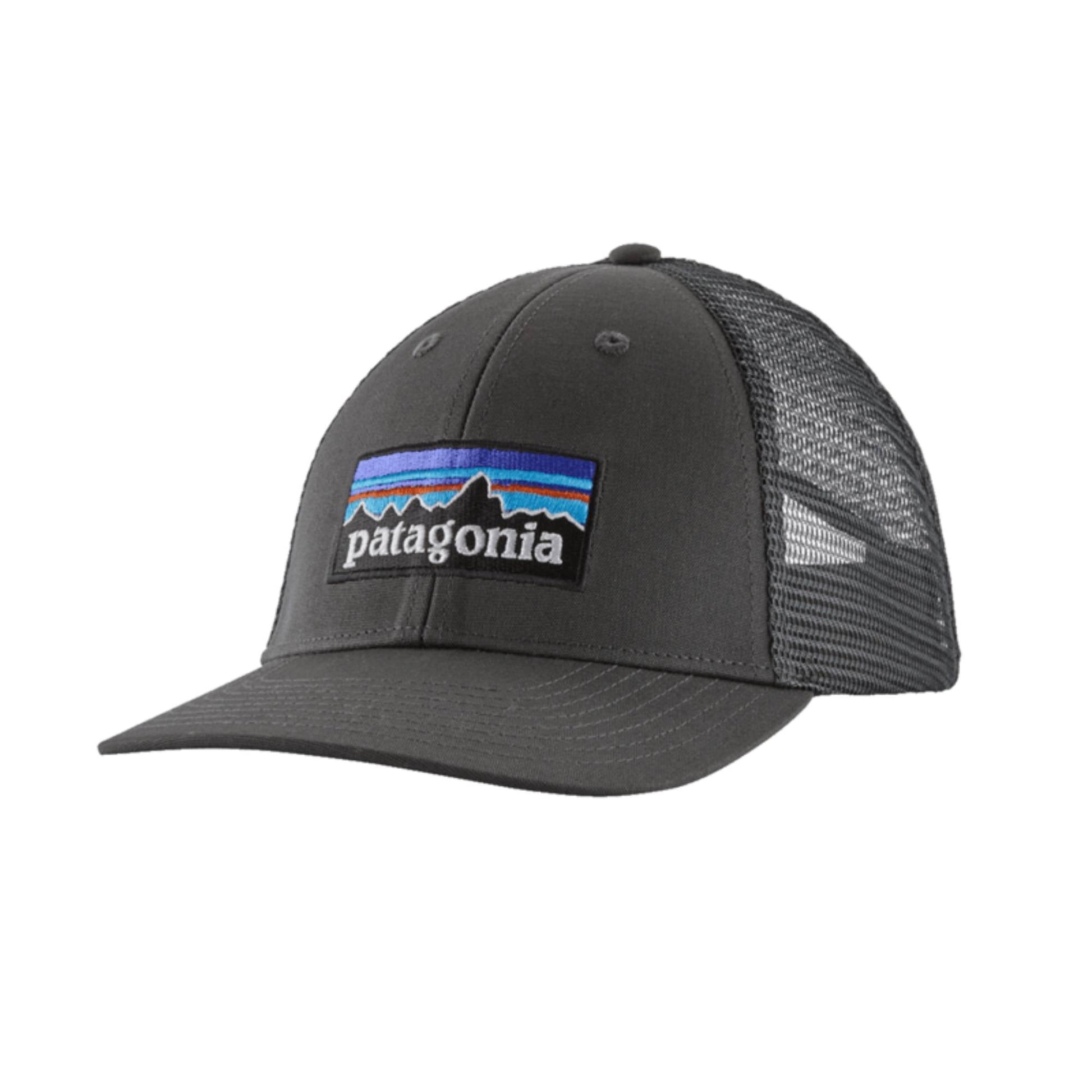 Patagonia P - 6 Logo LoPro Trucker Hat 2026 - Skiis & Biikes