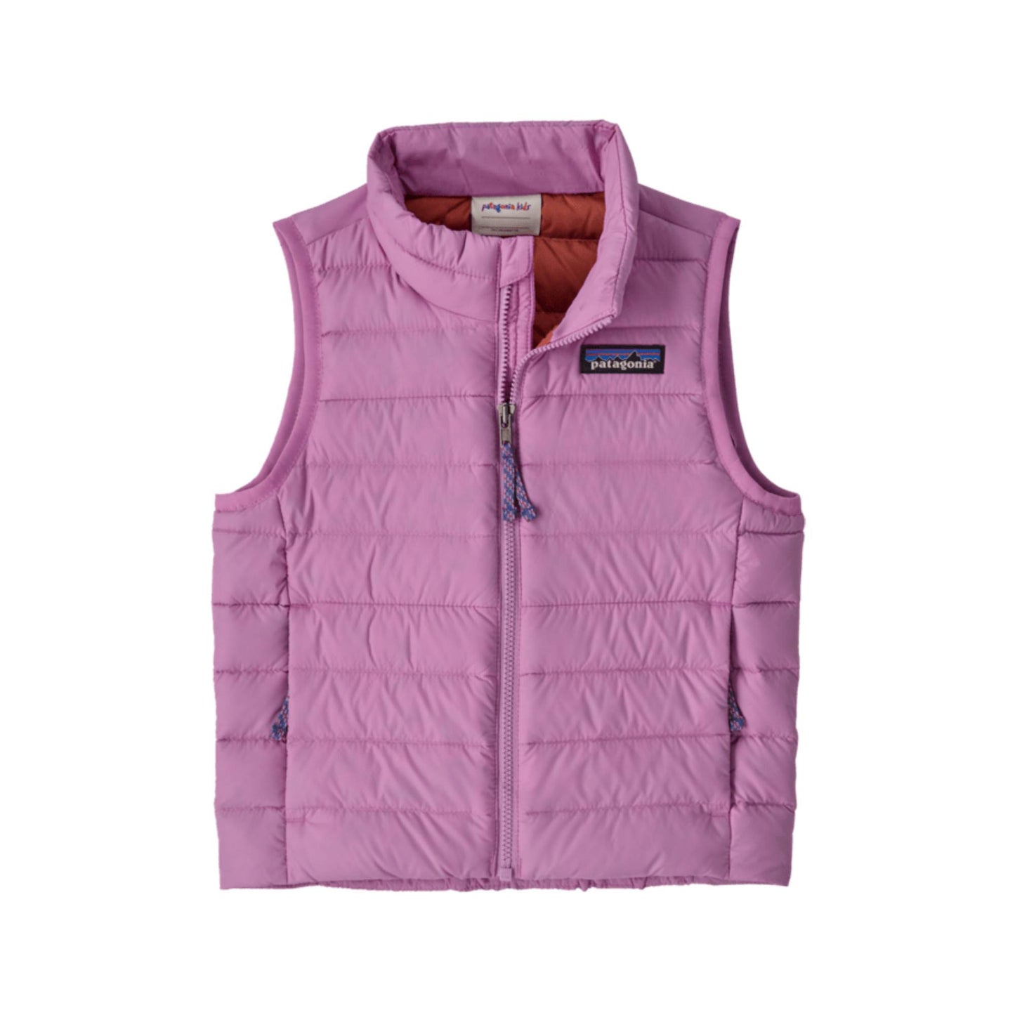Patagonia Preschool Down Sweater Vest 2026 - Skiis & Biikes