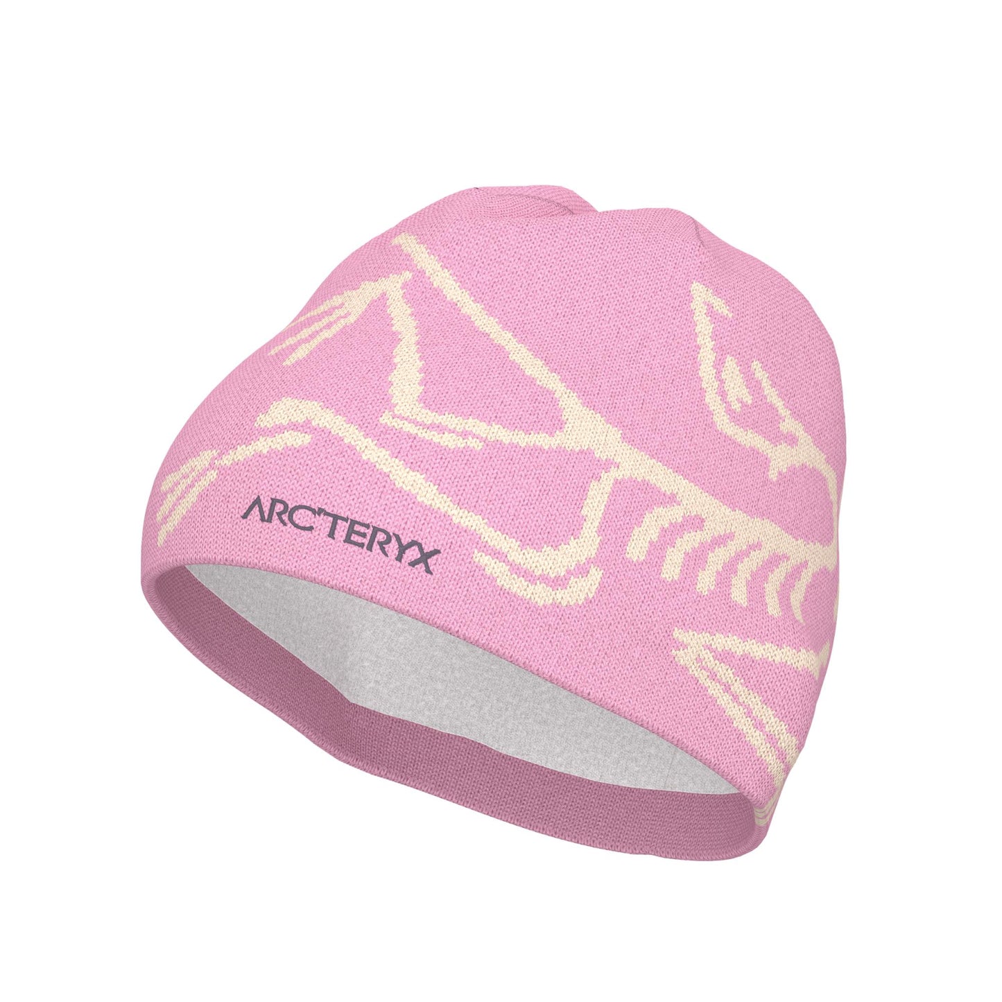 Arc'teryx Bird Head Adult Toque