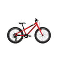 Rocky Mountain Edge Junior Bike - Skiis & Biikes