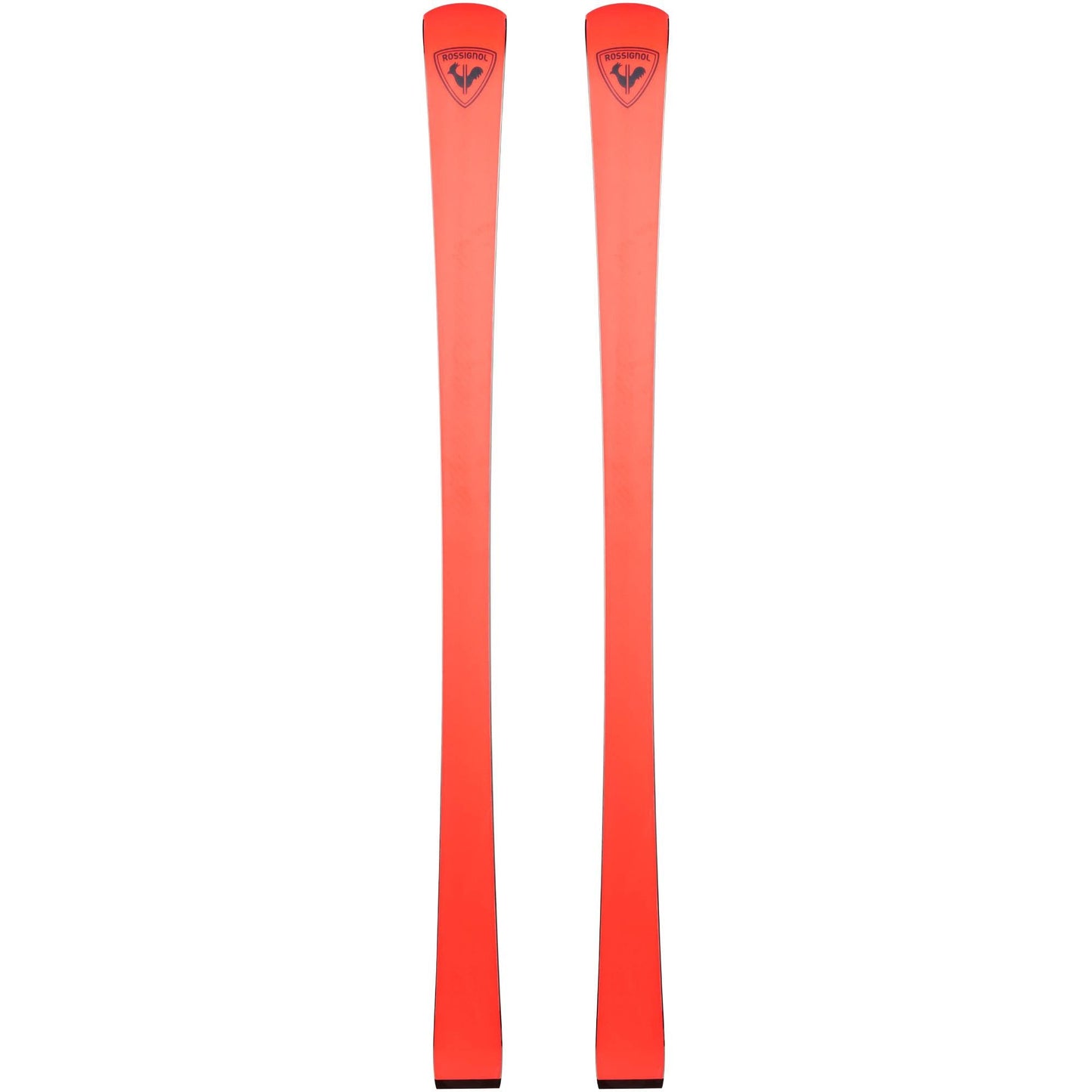 Rossignol Forza 70°+ Ti Master R22 Ski 2026 - Skiis & Biikes