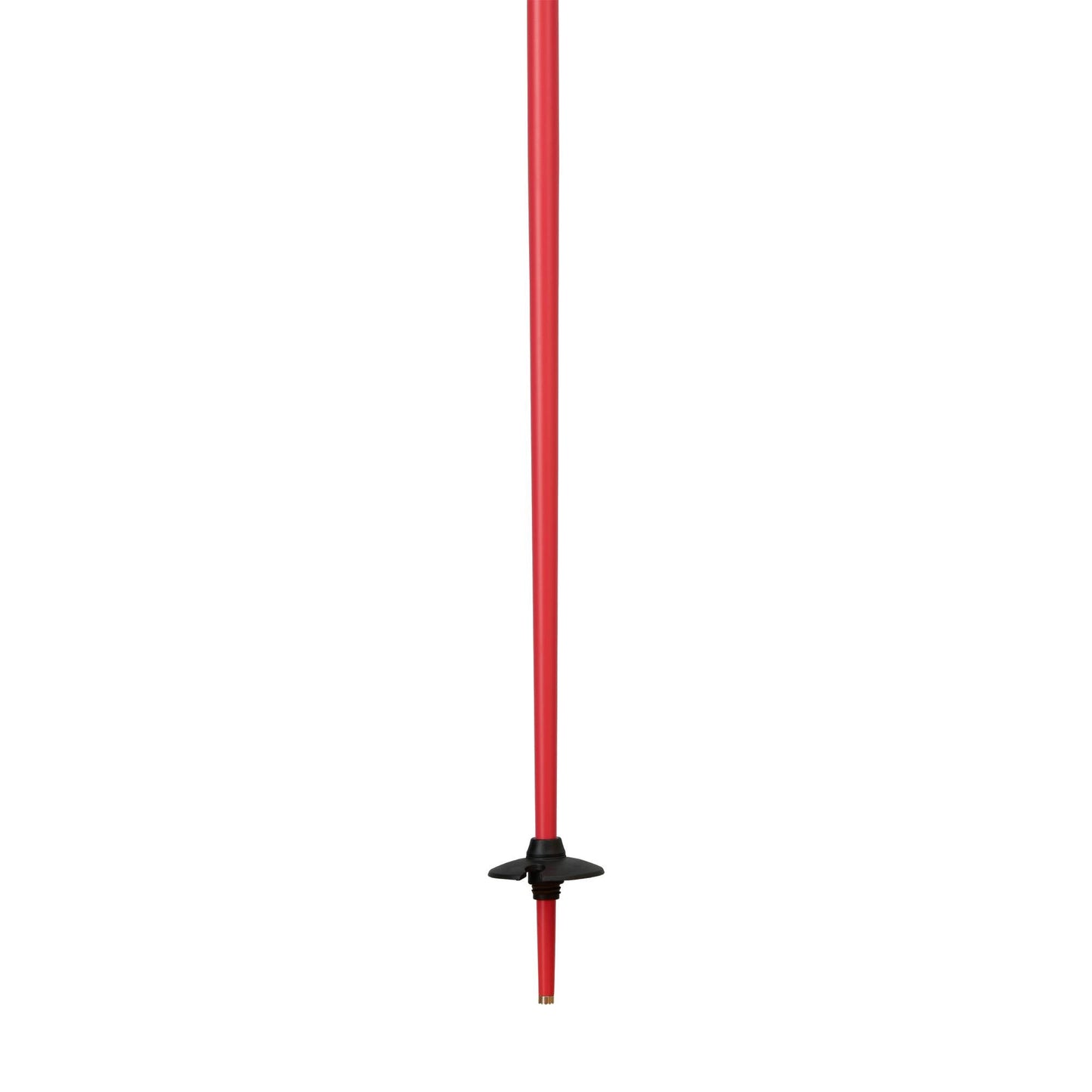 Rossignol Savage Ski Pole - Skiis & Biikes