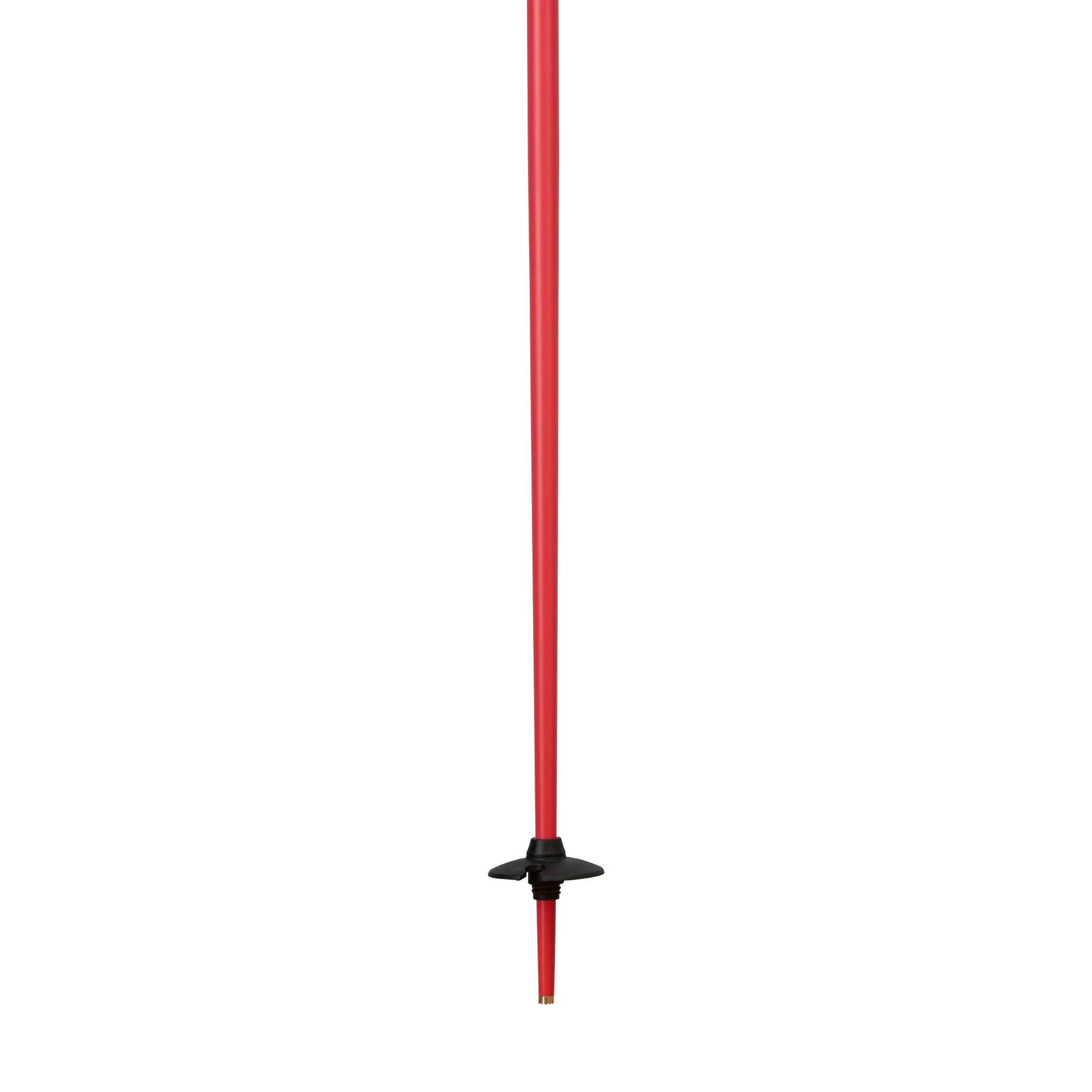 Rossignol Savage Ski Pole - Skiis & Biikes