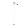 Rossignol Savage Ski Pole - Skiis & Biikes