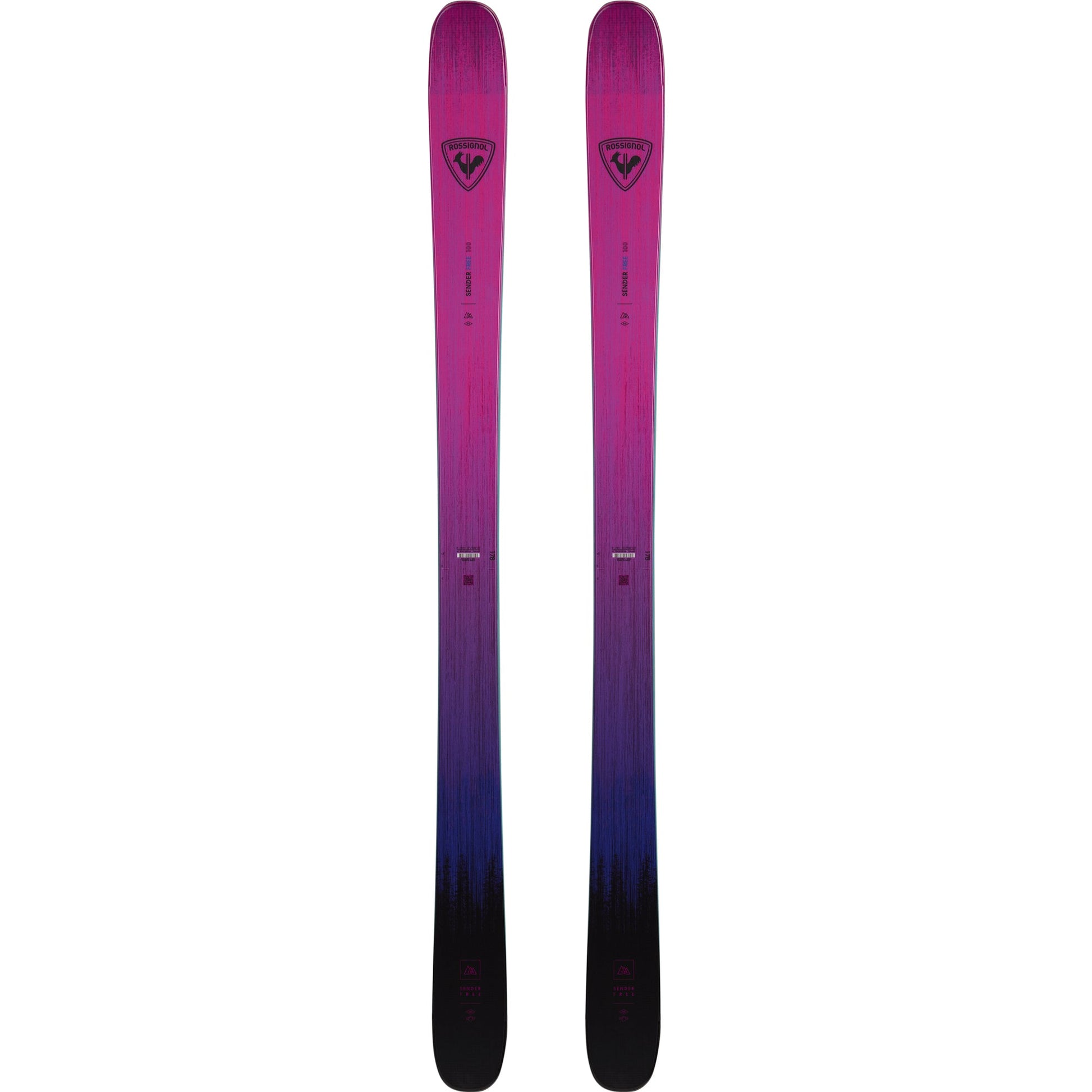 Rossignol Sender Free 100 Ski 2026 - Skiis & Biikes