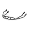 Shred Hard - Ear Chin Guard - Skiis & Biikes