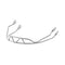 Shred Hard - Ear Chin Guard - Skiis & Biikes