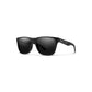 Smith Lowdown Steel Sunglasses - Skiis & Biikes