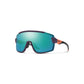 Smith Wildcat Sunglasses - Skiis & Biikes