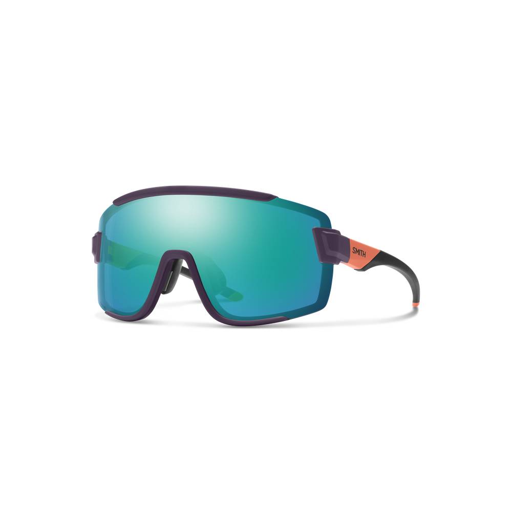 Smith Wildcat Sunglasses - Skiis & Biikes