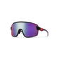 Smith Wildcat Sunglasses - Skiis & Biikes