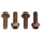 Wolf Tooth Bottle Cage Bolts
