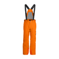 Spyder Dare Mens Pants (Regular) 2025 - Skiis & Biikes