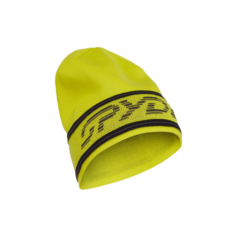Spyder Retro Logo Mens Hat - Skiis & Biikes