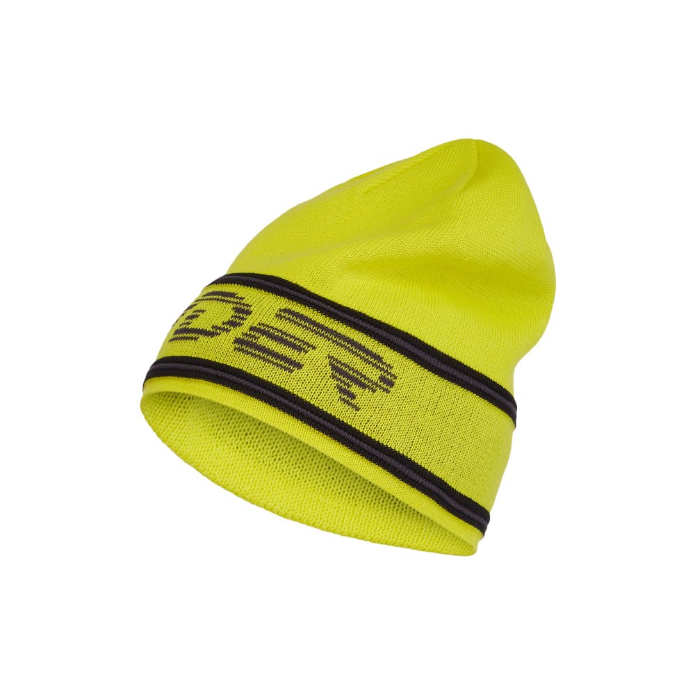 Spyder Retro Logo Mens Hat - Skiis & Biikes