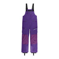 Spyder Sanction Mens Shell Bib Pant 2026 - Skiis & Biikes