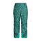 Spyder Seventy Mens Pants 2025 - Skiis & Biikes