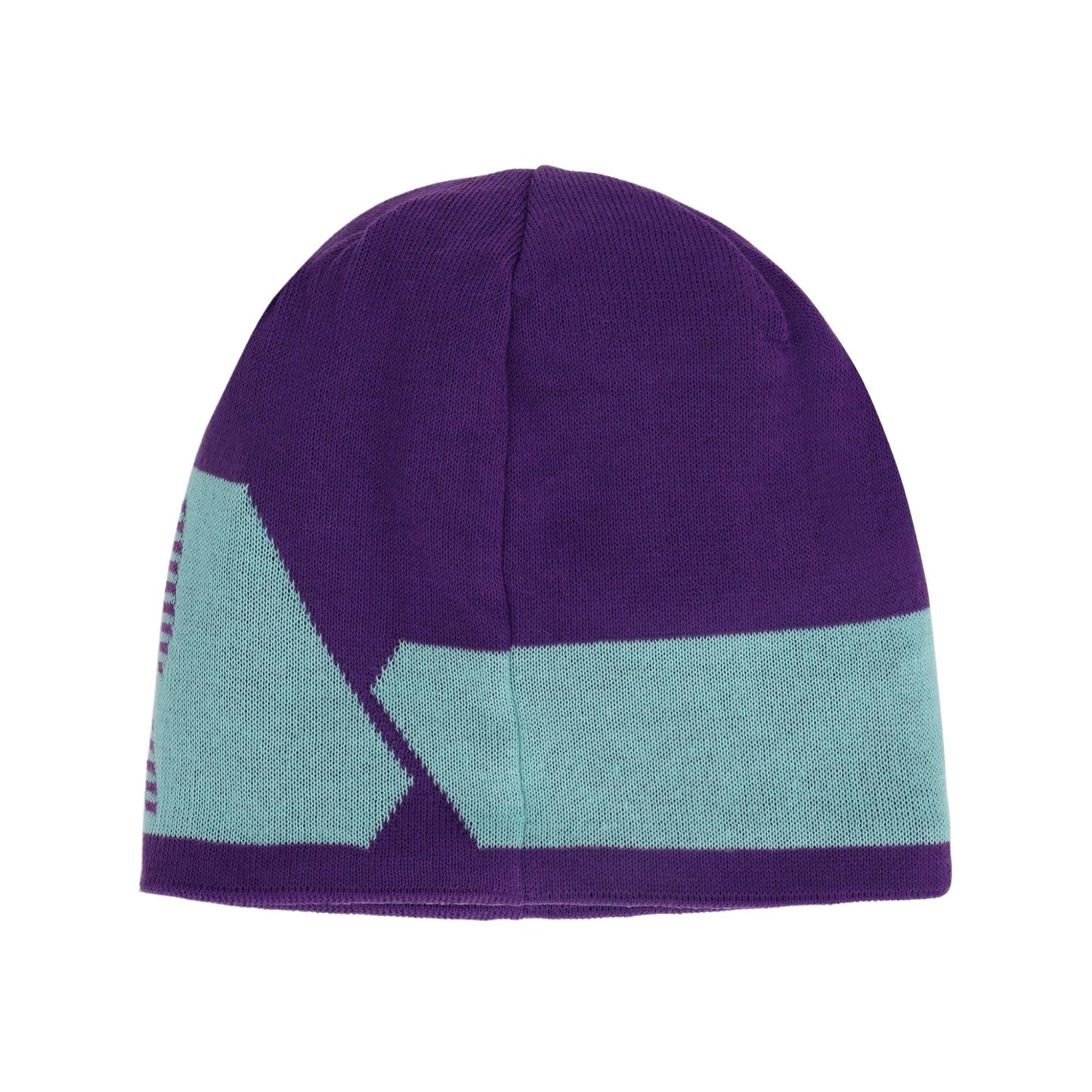 Spyder Shelby Mens Hat - Skiis & Biikes