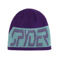 Spyder Shelby Mens Hat - Skiis & Biikes