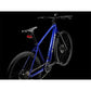 Trek Dual Sport + 2 LT E Bike - Skiis & Biikes