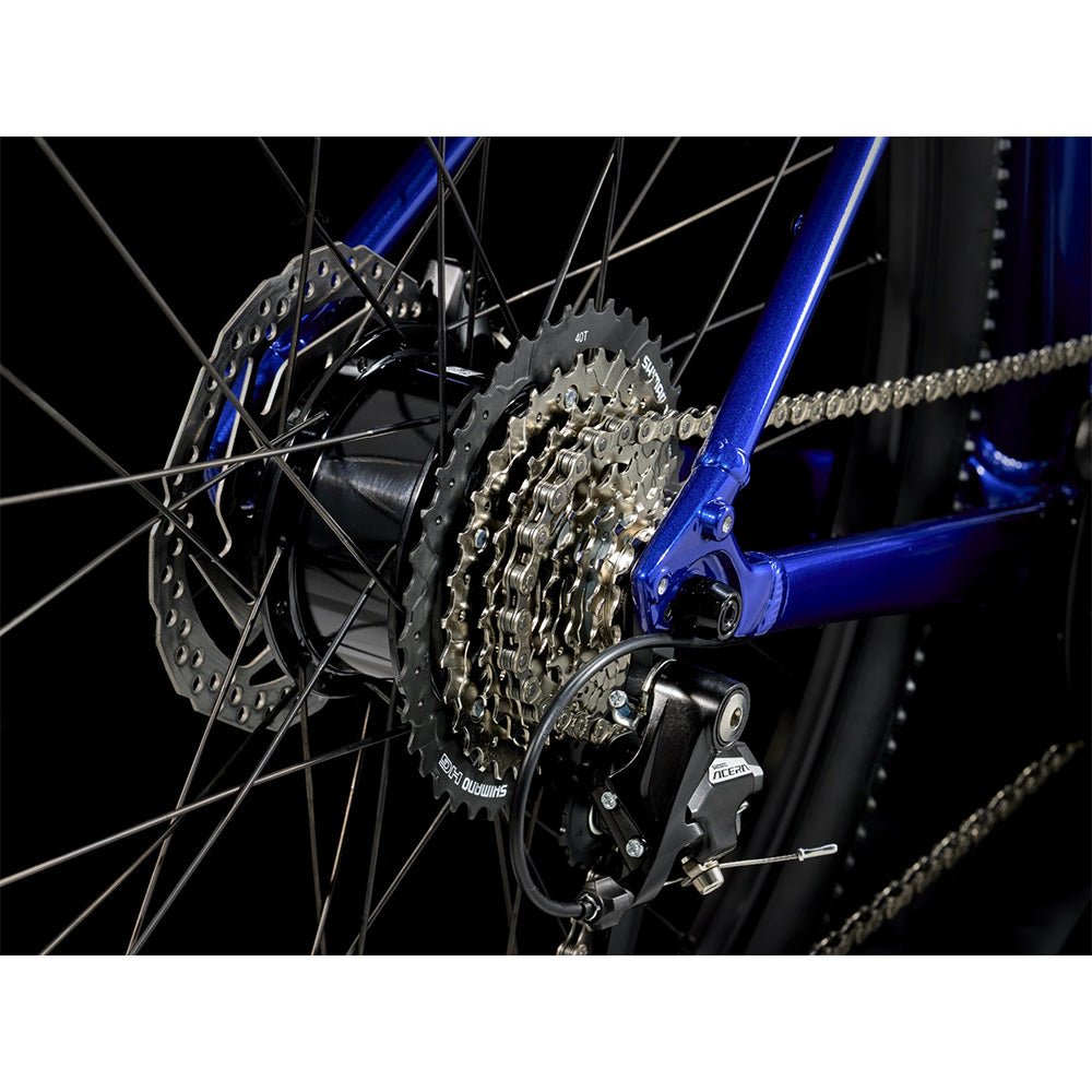 Trek Dual Sport + 2 LT E Bike - Skiis & Biikes