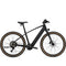 Trek FX + 1 E Bike - Skiis & Biikes