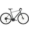 Trek FX 2 Disc Gen 3 Bike - Skiis & Biikes
