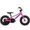Trek Precaliber 12 Bike - Skiis & Biikes