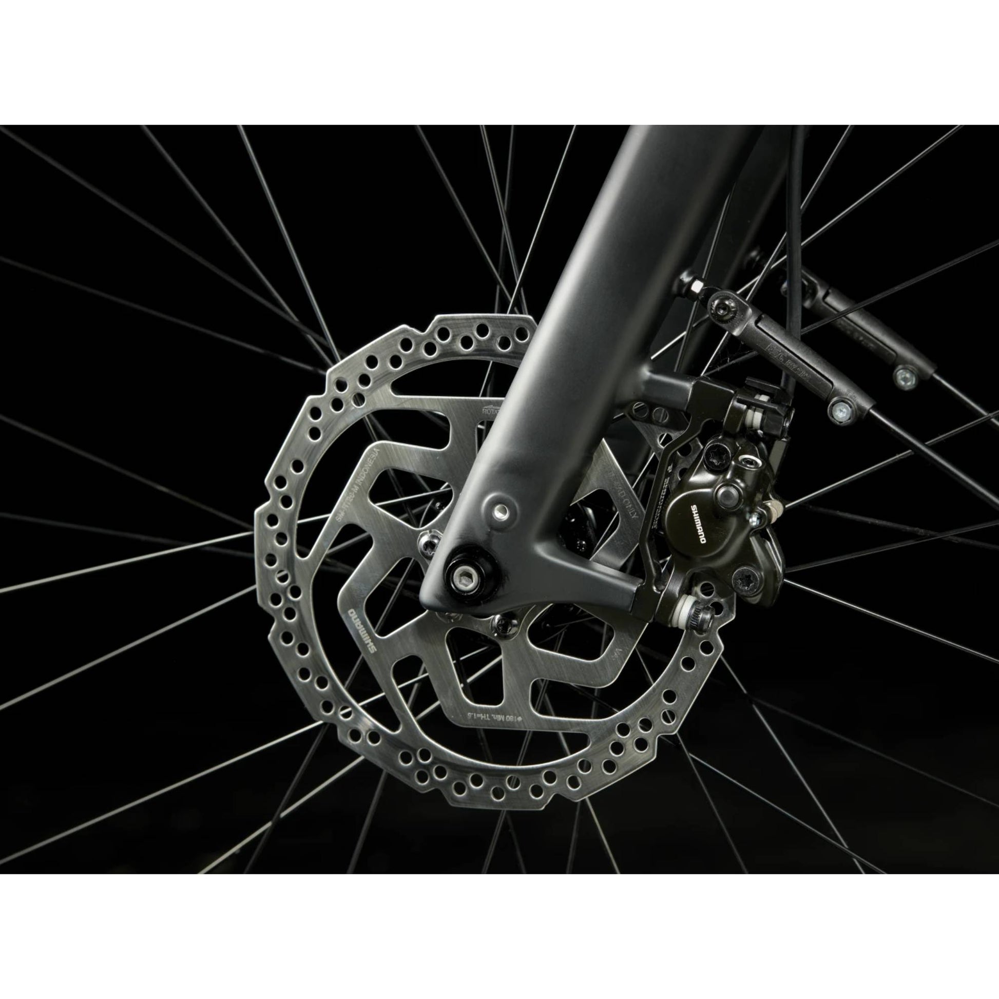 Trek Verve+ 3 LowStep Bike 2025 - Skiis & Biikes