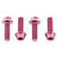 Wolf Tooth Bottle Cage Bolts
